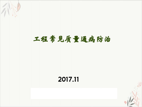 工程常见质量通病防治培训ppt(107张)可编辑全文