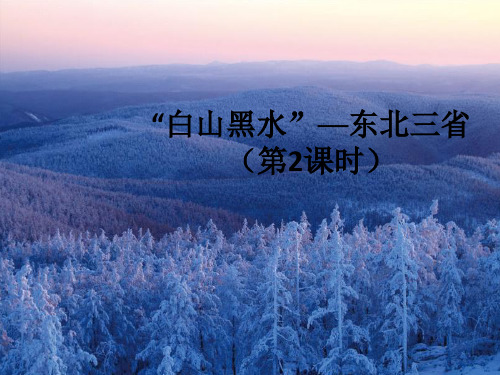 人教版八年级下册地理《“白山黑水”──东北三省》(2)17张ppt
