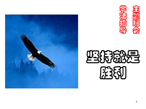 坚持就是胜利ppt课件.ppt