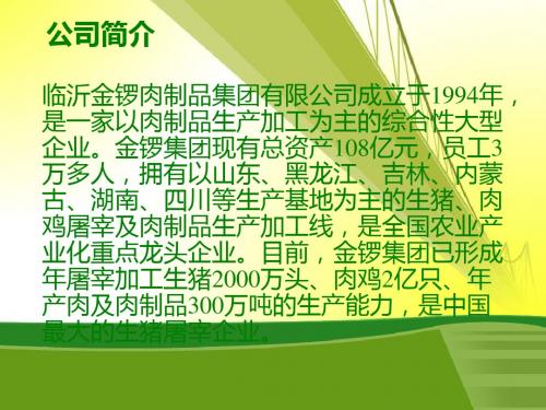 金锣火腿肠企业及产品介绍
