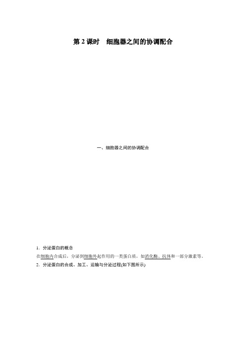 新教材高中生物必修一第3章 第2节 第2课时 细胞器之间的协调配合