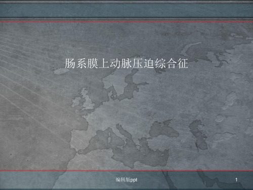 肠系综合征膜上动脉压迫综合征医学PPT