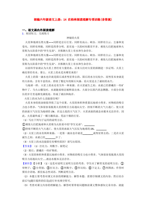 部编六年级语文上册：14 在柏林阅读理解专项训练(含答案)