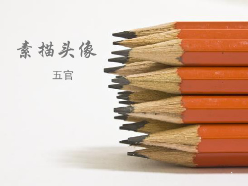 素描头像PPT精选课件