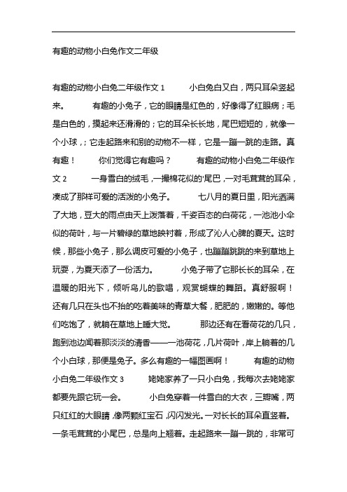 有趣的动物小白兔作文二年级