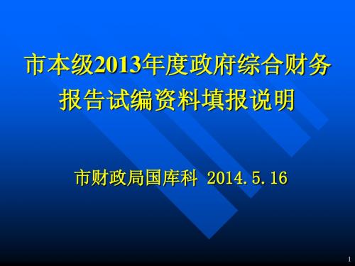 市本级2013年度政府综合财务报告试编资料填报说明