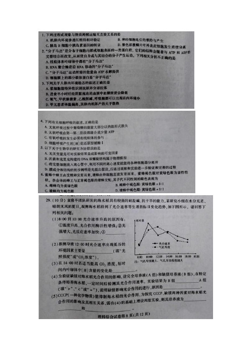 【全国百强校首发】东北三省三校(哈师大附中、东北师大附中、辽宁省实验中学)2018届高三第二次模