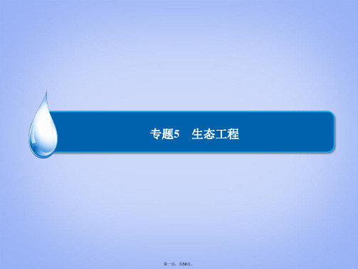 高考生物一轮复习 专题5 生态工程课件 新人教版选修3[1]
