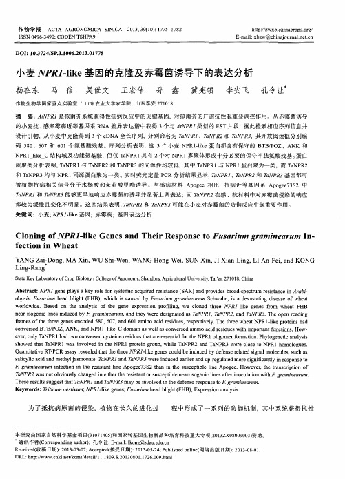 小麦NPR1-like基因的克隆及赤霉菌诱导下的表达分析