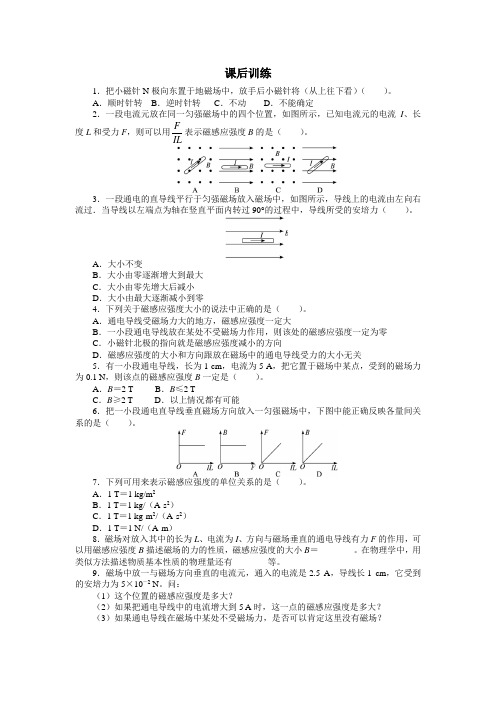  磁感应强度 课时作业 (含解析) (29)