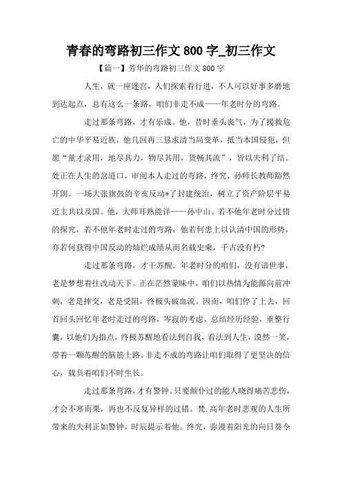 青春的弯路初三作文800字_初三作文