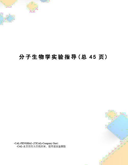 分子生物学实验指导