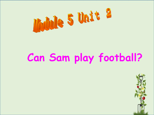 四年级英语上册 Module 5 Unit 2 Can Sam play football课件1 外研版(三起)