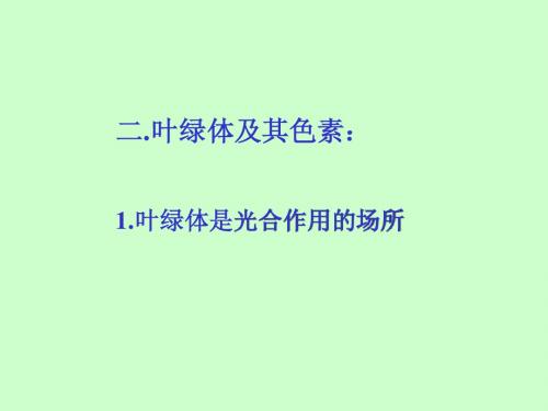第4章 叶绿体及其色素