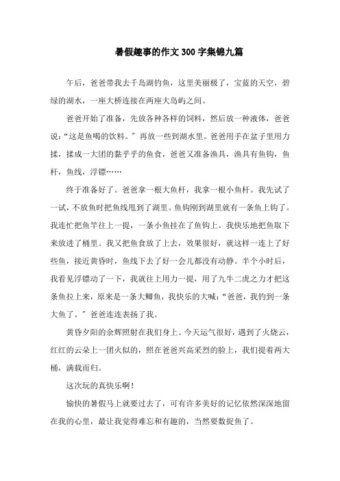 暑假趣事的作文300字集锦九篇精选
