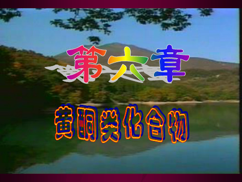 黄酮类化合物