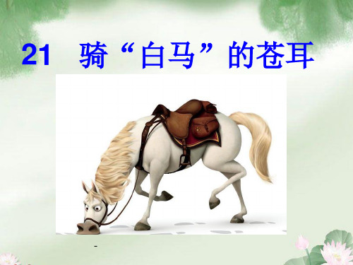 骑“白马”的苍耳-PPT课件 