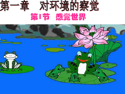 11感觉世界精品PPT课件