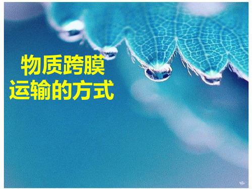 第 3节 物质进出细胞的方式    (共21张PPT)