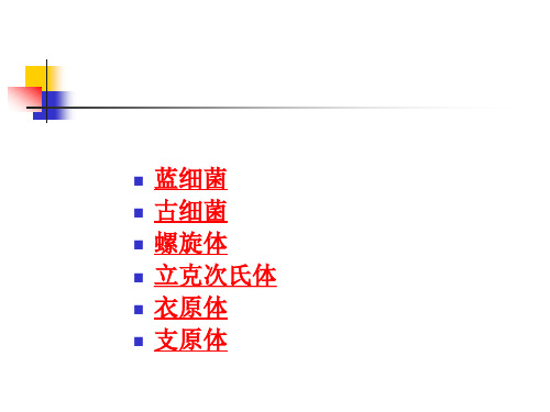 螺旋体(spirochete)