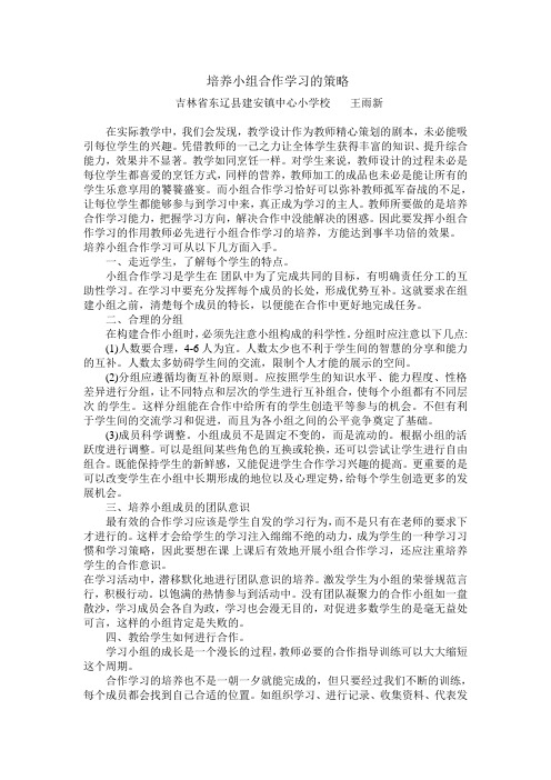 培养小组合作学习的策略