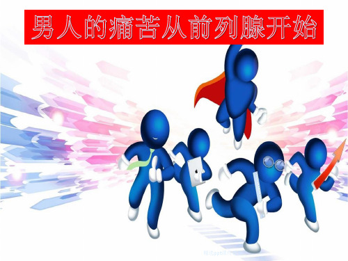 前列腺PPT课件