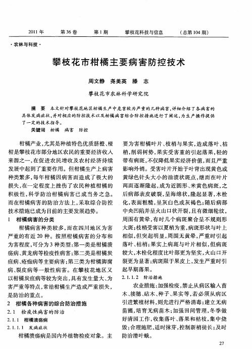 攀枝花市柑橘主要病害防控技术