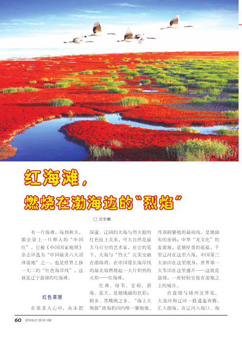 红海滩,燃烧在渤海边的“烈焰”