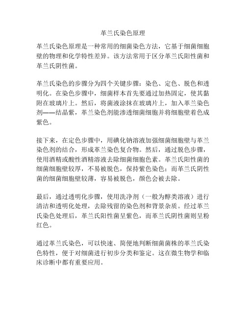 革兰氏染色原理