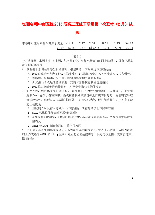 江西省赣中南五校高三理综下学期第一次联考(2月)试题