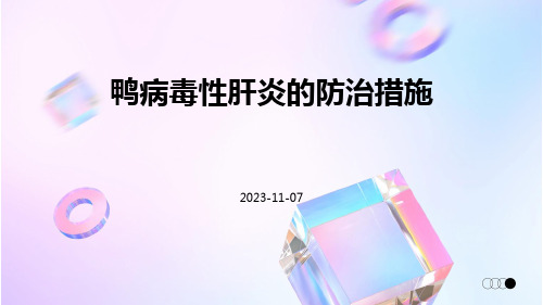 鸭病毒性肝炎的防治措施