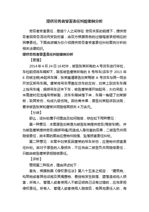 提供劳务者受害责任纠纷案例分析