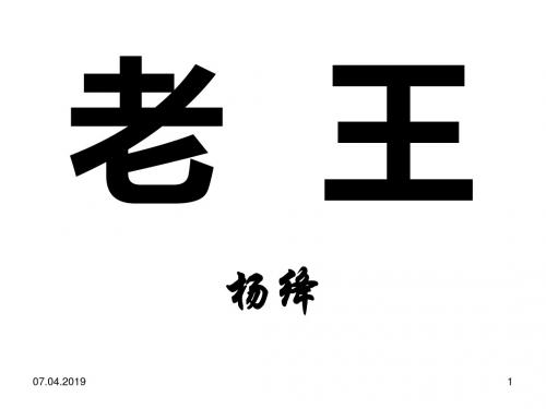 老王ppt253 苏教版