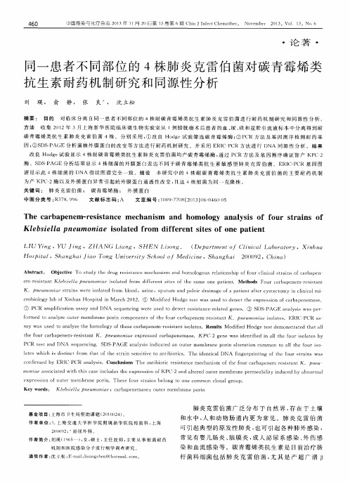 同一患者不同部位的4株肺炎克雷伯菌对碳青霉烯类抗生素耐药机制研究和同源性分析