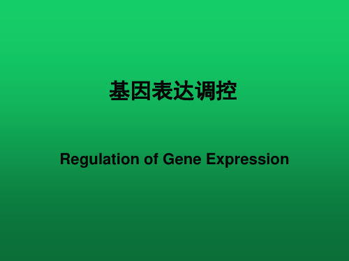 基因表达调控