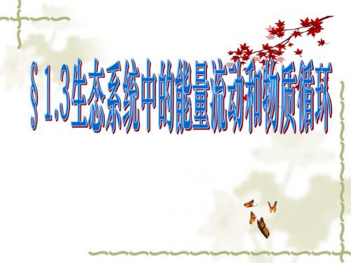 1.3生态系统中的能量流动和物质循环课件