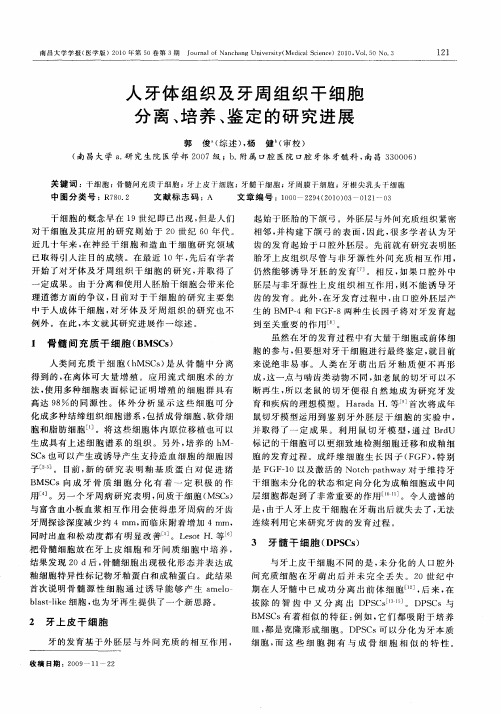 人牙体组织及牙周组织干细胞分离、培养、鉴定的研究进展