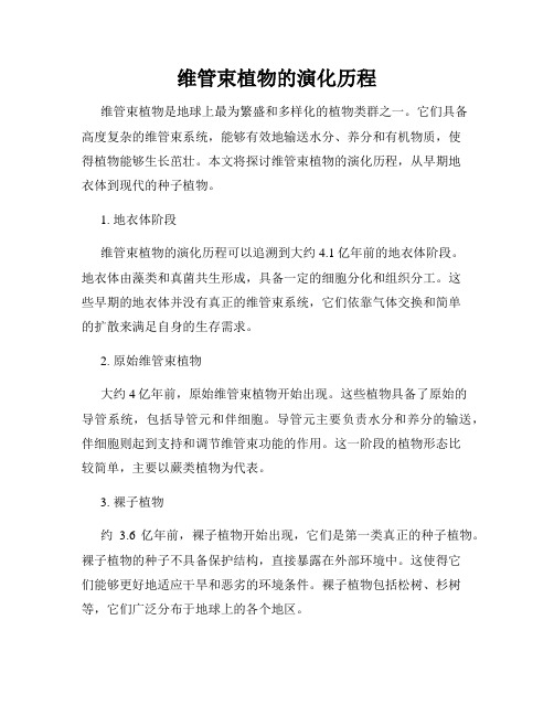 维管束植物的演化历程