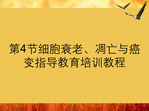细胞衰老、凋亡与癌变