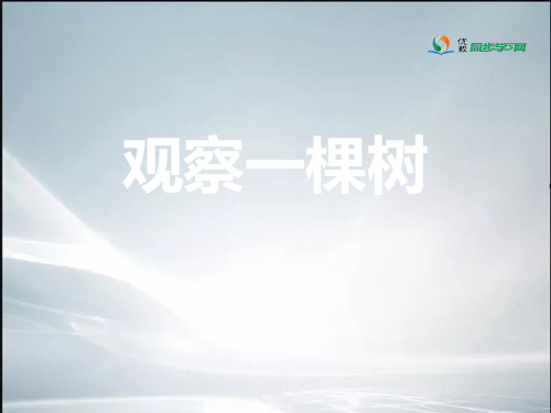 7《观察一棵树》参考课件【精品课件】.ppt