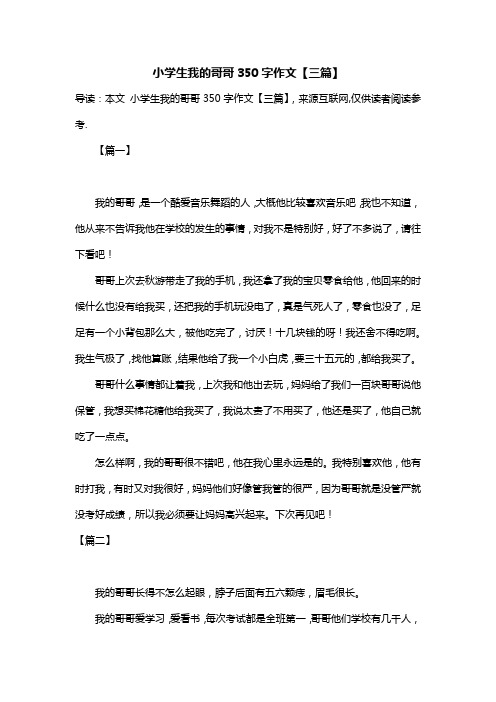 小学生我的哥哥350字作文【三篇】