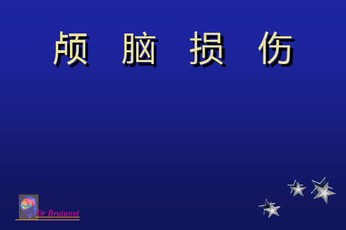 头部外伤PPT课件