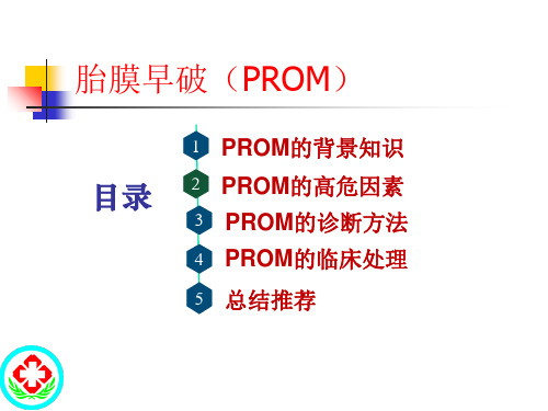 医学课件胎膜早破指南解读总结