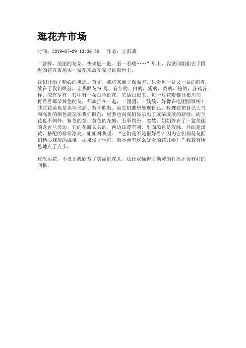 逛花卉市场