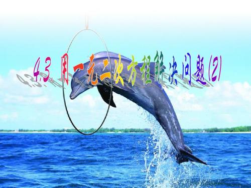 4.3 用一元二次方程解决问题(2) 课件(苏科版九年级上)