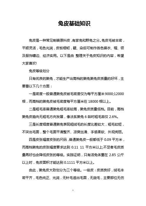 兔皮基础知识
