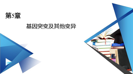新教材人教版必修2 第5章 第1节 基因突变和基因重组 课件(74张)