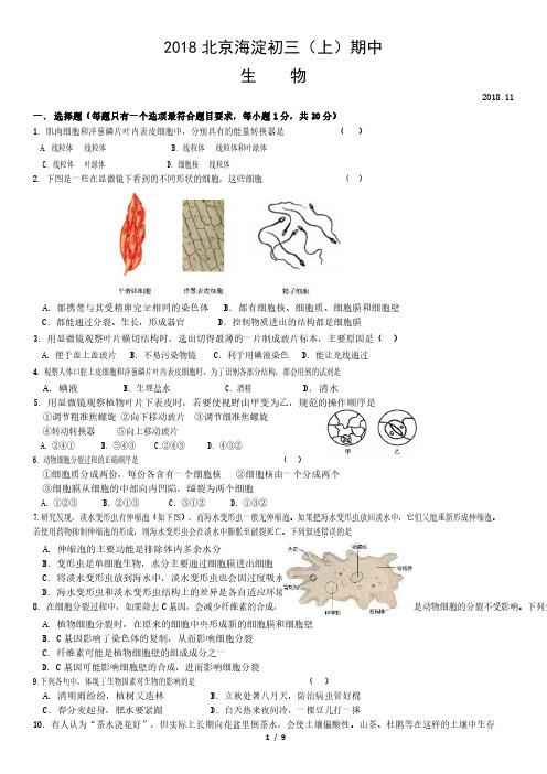 2018北京海淀初三(上)期中生物