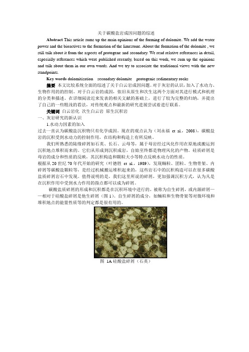 关于碳酸盐岩成因问题的综述
