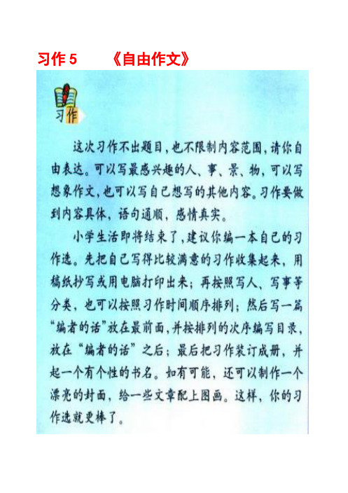 人教版六年级下册习作5《自由作文》范文(计44篇)